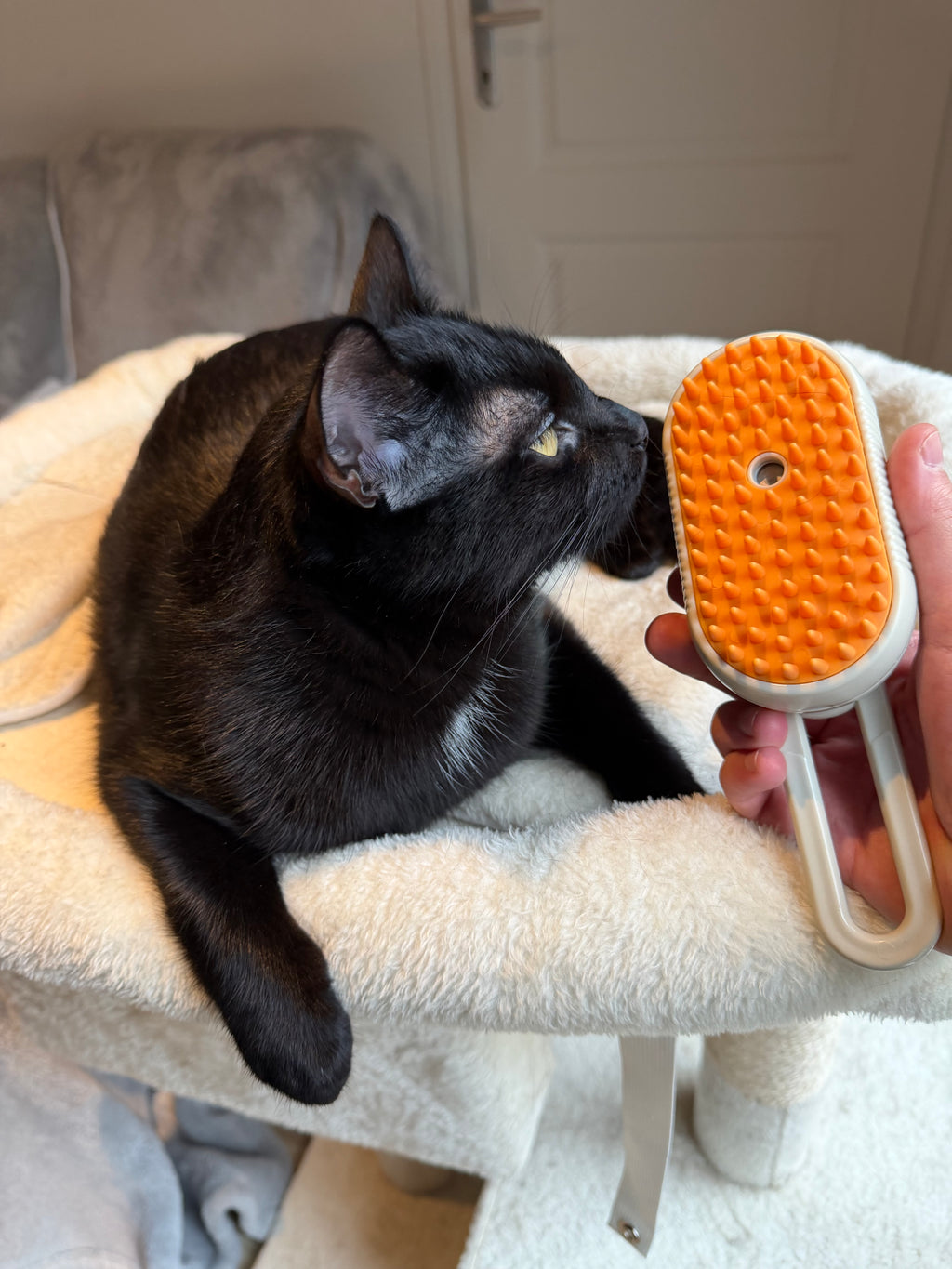 Brosse soin vapeur 3 en 1 pour chat et chien AivoCare