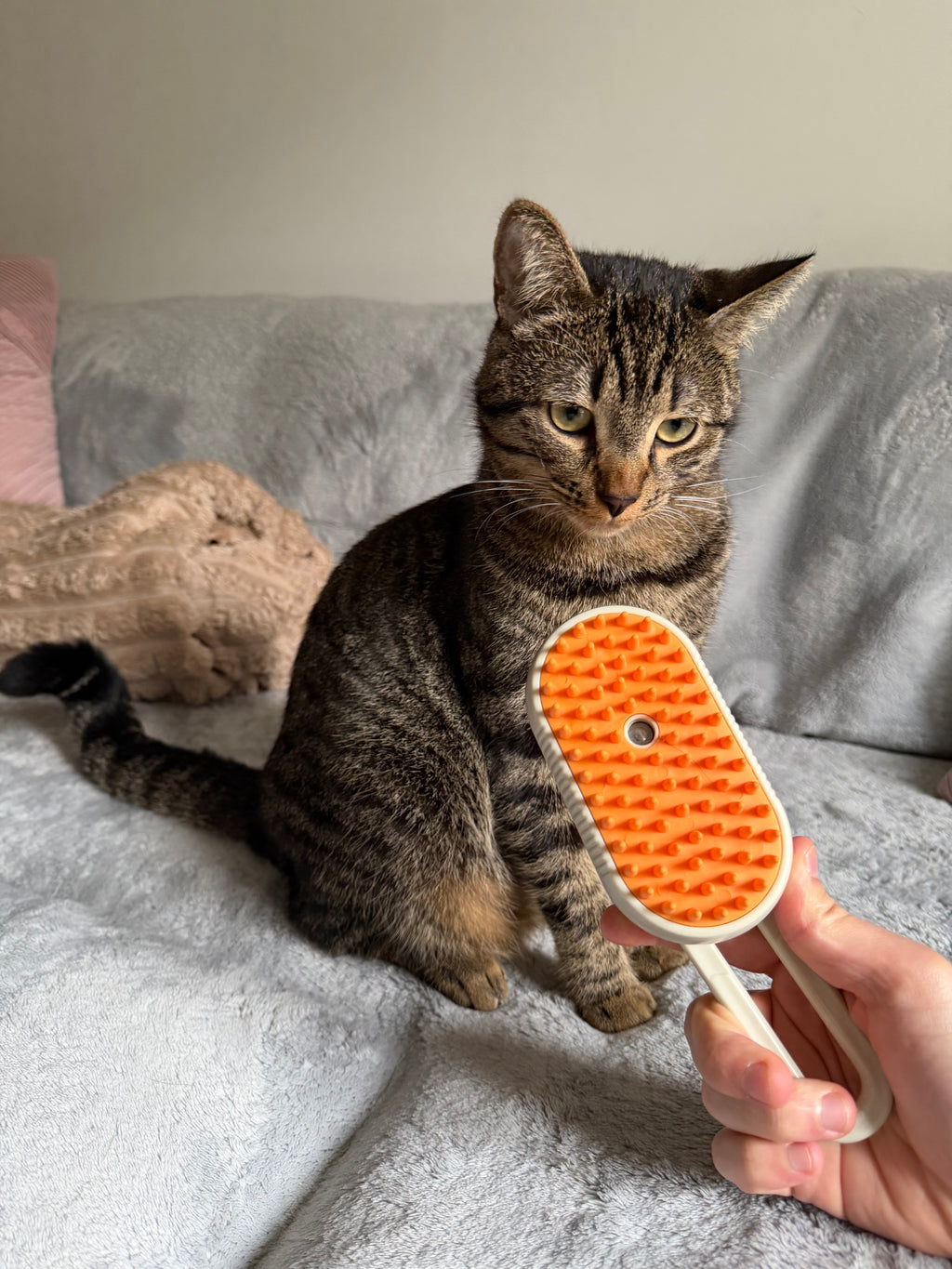 Brosse soin vapeur 3 en 1 pour chat et chien AivoCare