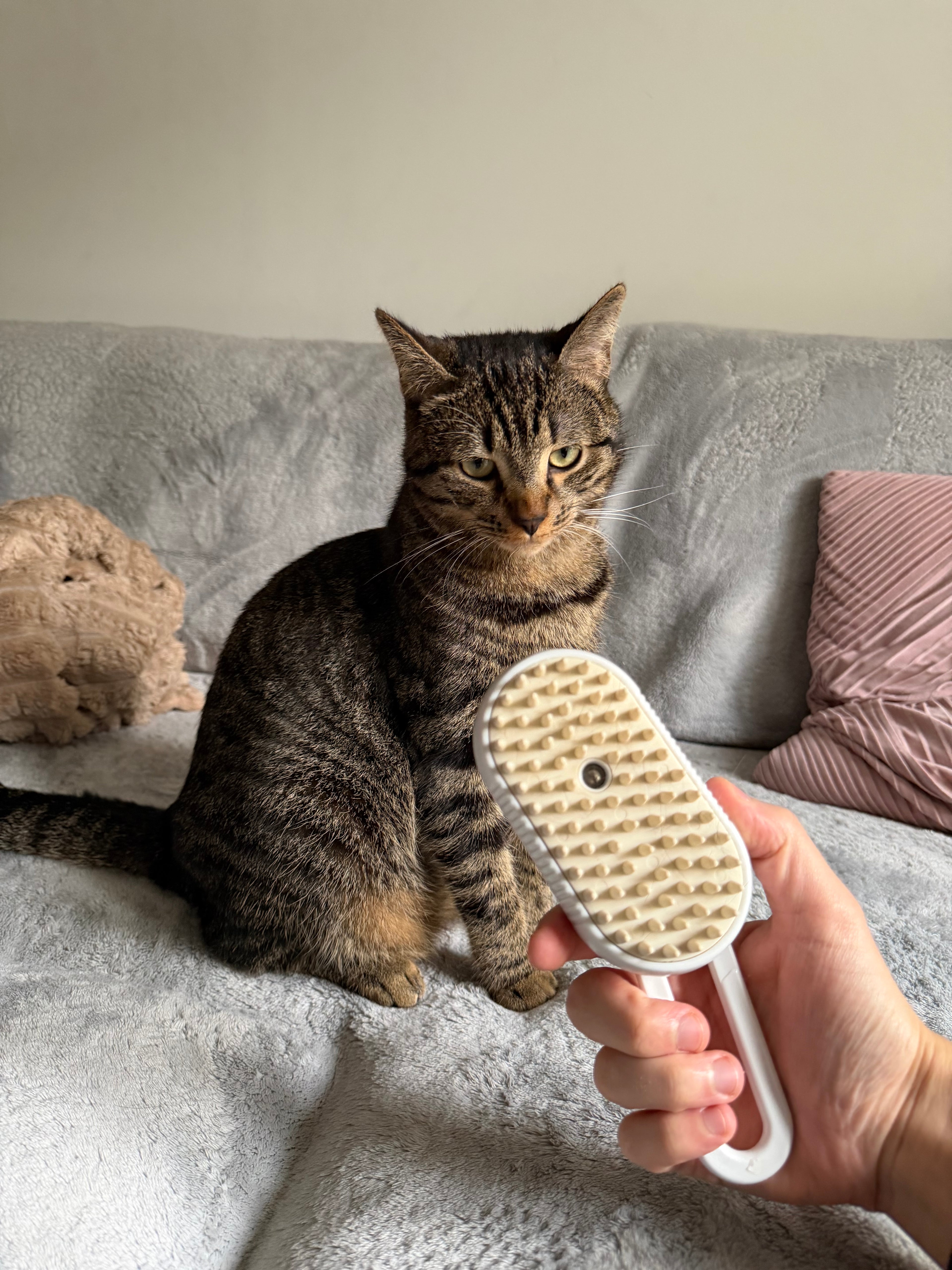 Brosse soin vapeur 3 en 1 pour chat et chien AivoCare